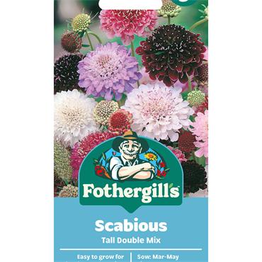 SCABIOUS TALL DOUBLE MIX