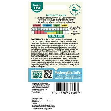 SHASTA DAISY ALASKA