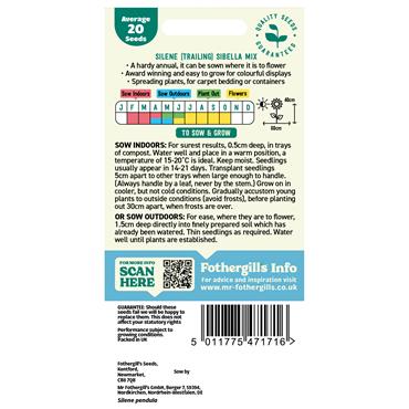 SILENE SIBELLA MIX (TRAILING)