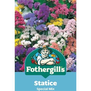 STATICE SPECIAL MIX