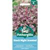 STOCK NIGHT SCENTED