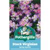 STOCK VIRGINIAN SPRING SPARKLE