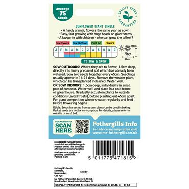 SUNFLOWER GIANT SINGLE
