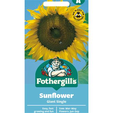 SUNFLOWER GIANT SINGLE