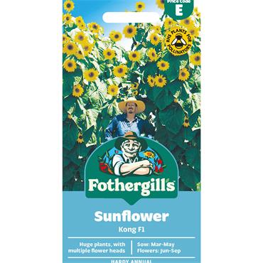 SUNFLOWER KONG F1