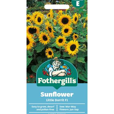 SUNFLOWER LITTLE DORRIT F1