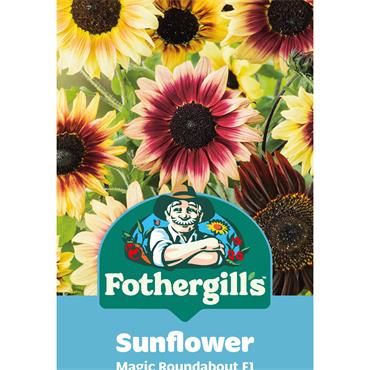 SUNFLOWER MAGIC ROUNDABOUT F1