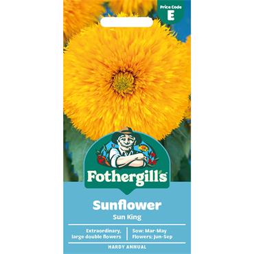 SUNFLOWER SUN KING