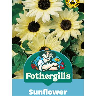 SUNFLOWER VANILLA ICE