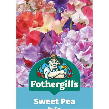 SWEET PEA BIG TOP