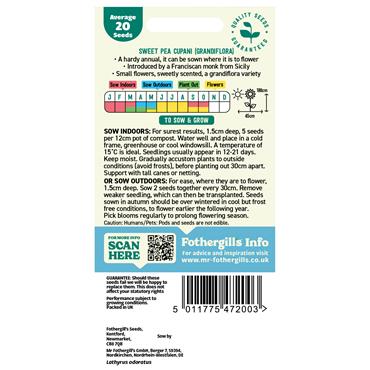 SWEET PEA CUPANI (GRANDIFLORA)