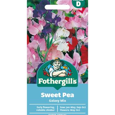 SWEET PEA GALAXY