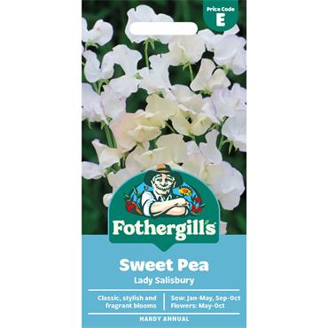 SWEET PEA LADY SALIBURY