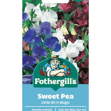 SWEET PEA LITTLE BIT O MAGIC