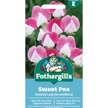 SWEET PEA PAINTED LADY (GRANDIFLORA)