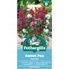 SWEET PEA PATIO MIX