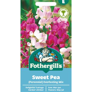 SWEET PEA PERENNIAL EVERLASTING MIX