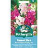 SWEET PEA PERENNIAL EVERLASTING MIX