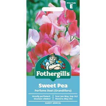 SWEET PEA PERFUME DUET (GRANDIFLORA)
