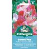 SWEET PEA PERFUME DUET (GRANDIFLORA)