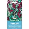 SWEET PEA SOLWAY VELVET