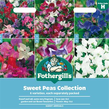 SWEET PEAS COLLECTION