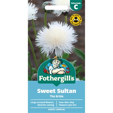 SWEET SULTAN THE BRIDE