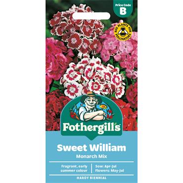 SWEET WILLIAM MONARCH MIX