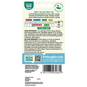 SWEET WILLIAM SINGLE MIX