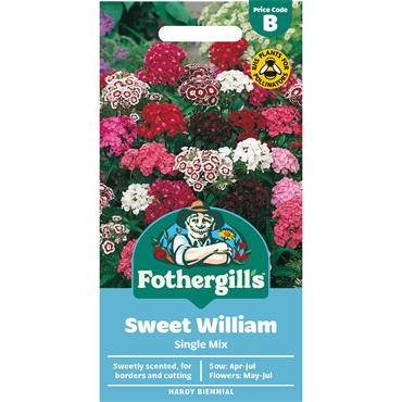 SWEET WILLIAM SINGLE MIX