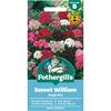 SWEET WILLIAM SINGLE MIX
