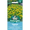TAGETES LEMON GEM