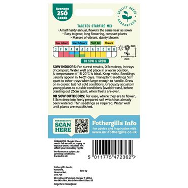 TAGETES STARFIRE MIX