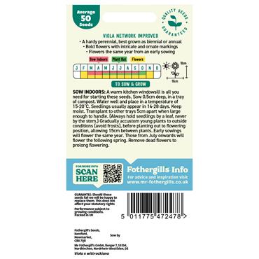 VIOLA NETWORK IMPROVED