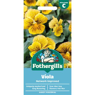 VIOLA NETWORK IMPROVED