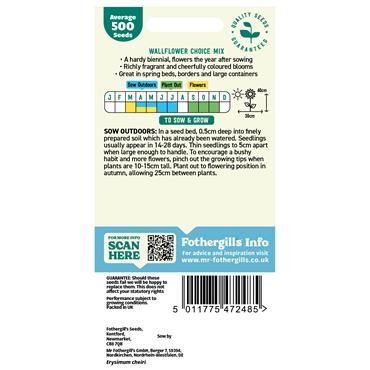 WALLFLOWER CHOICE MIX