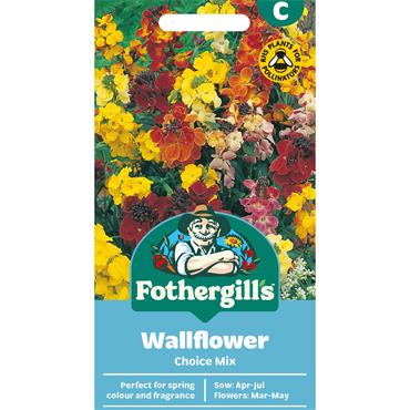 WALLFLOWER CHOICE MIX