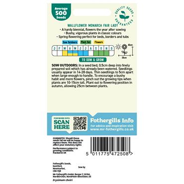 WALLFLOWER MONARCH FAIR LADY