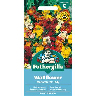 WALLFLOWER MONARCH FAIR LADY