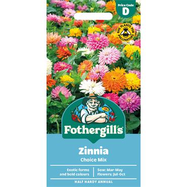 ZINNIA CHOICE MIX
