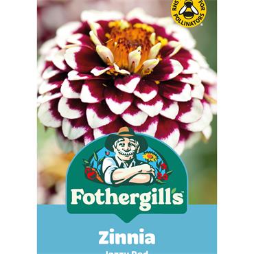 ZINNIA JAZZY RED