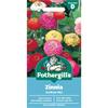 ZINNIA SUNBOW MIX