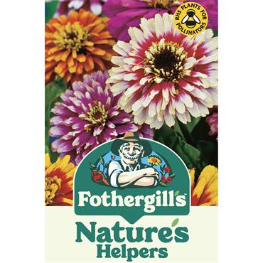 ZINNIA WHIRLYGIG MIX