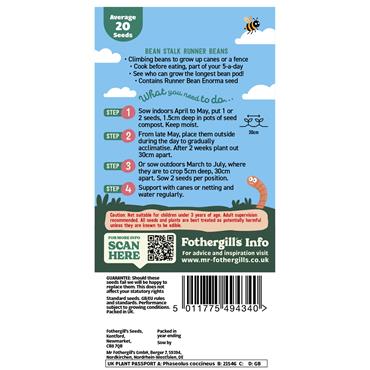 BEAN STALK RUNNER BEANS