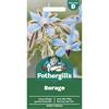 BORAGE