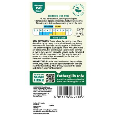 CORIANDER (FOR SEED)