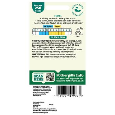 FENNEL