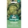 ARTICHOKE GREEN GLOBE