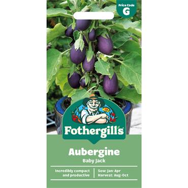 AUBERGINE BABY JACK
