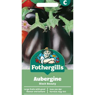 AUBERGINE BLACK BEAUTY